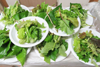 자연을 담은 한 상 사진