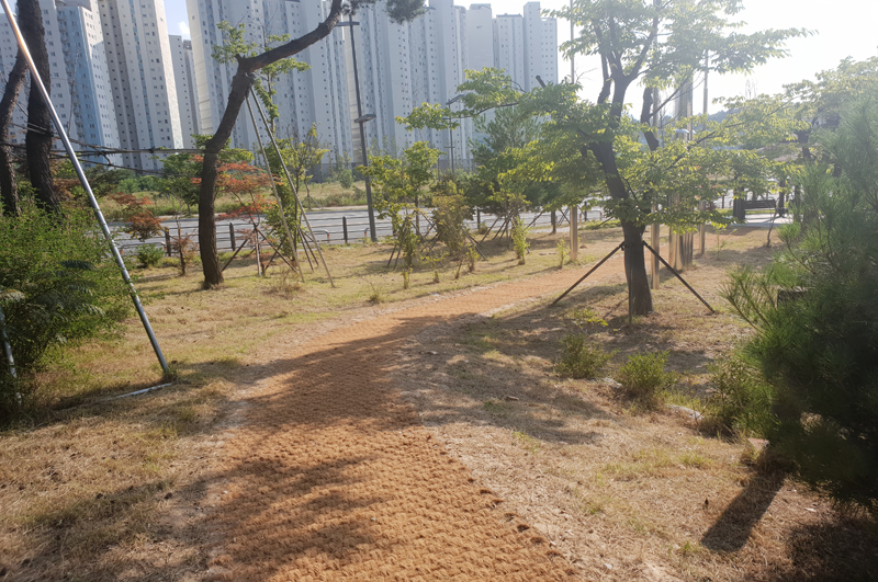 산책로 육각 정원