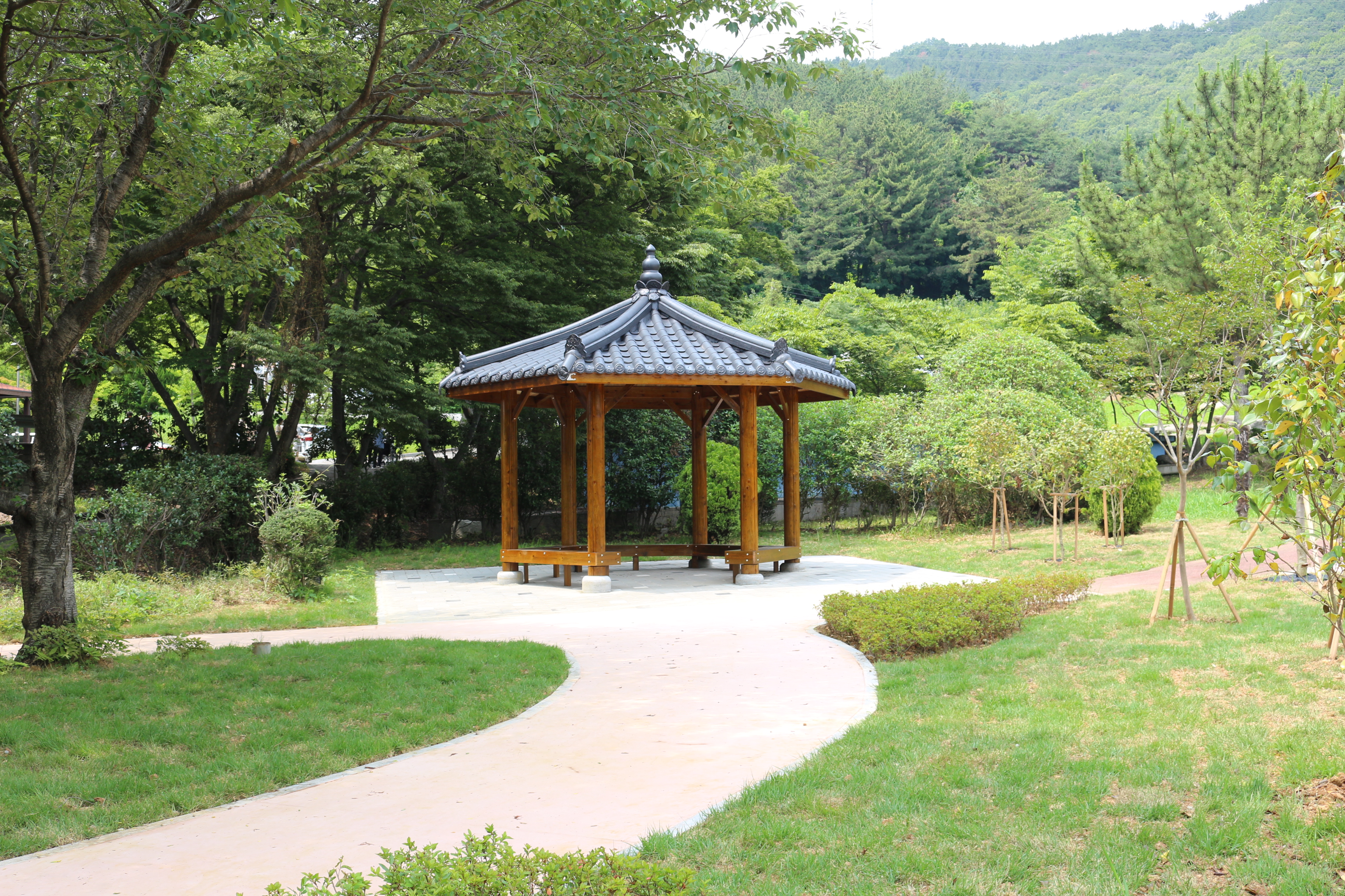 나눔숲 공원(산책로) 이미지