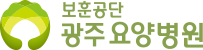 광주보훈병원 광주요양병원 로고