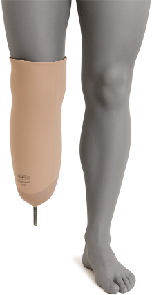 핀타입형 이미지