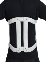 나이트형 (Knight Type)