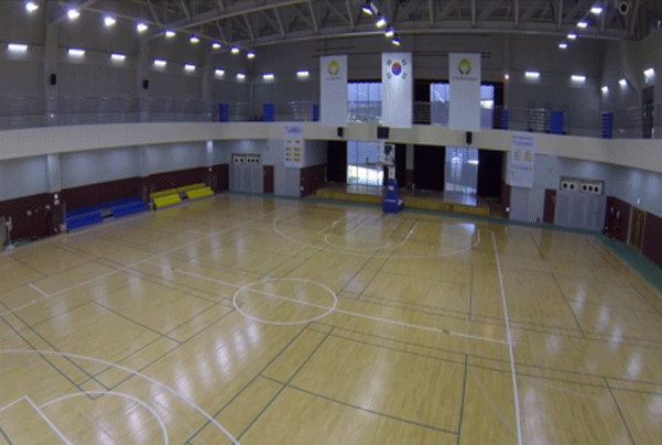 종합체육관 (VHS Gymnasium)
