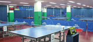 탁구장 (Table Tennis Court)