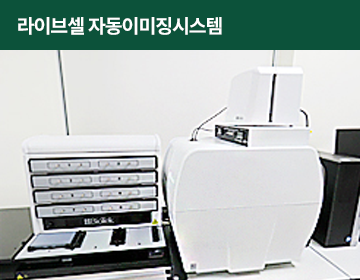 라이브셀 자동이미징시스템