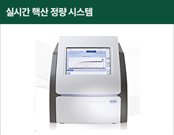 실시간 핵산 정량 시스템