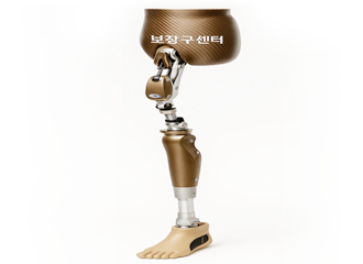 엉덩이관절의지 이미지