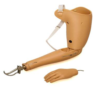 위팔의지 기능형