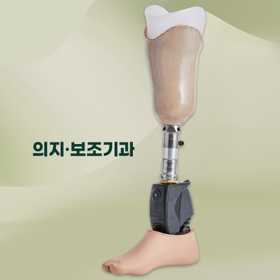 의지, 보조기과