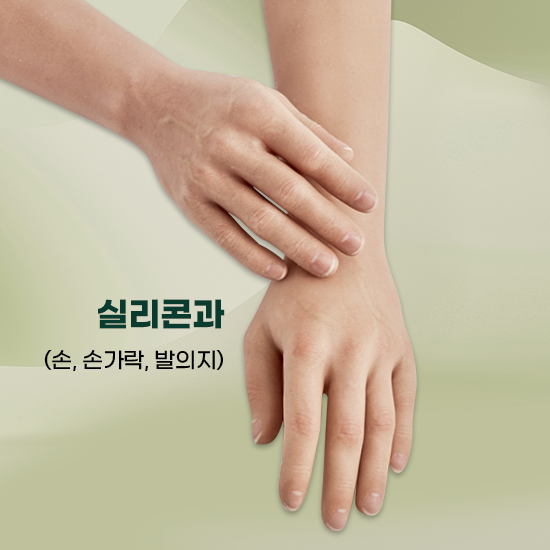 실리콘과(손, 손가락, 발의지)